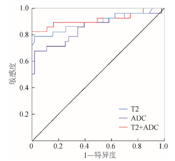 联磁共振是什么中枢神经影像学 ｜ 陈兵：集成磁共振联合高分辨率扩散加权成像在海马硬化型颞叶内侧癫痫中的应用_https://www.jmylbn.com_新闻资讯_第12张