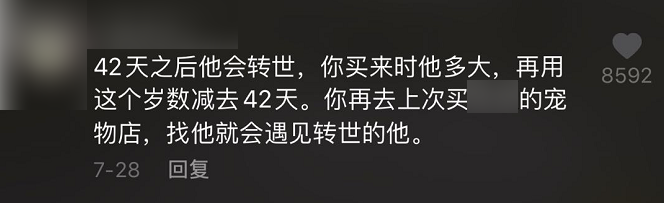 吃播涼了，「大胃王寵物」還在被逼著撈錢 寵物 第13張