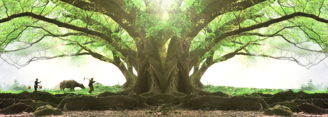 所有的优秀背后，都是苦行僧般的自律