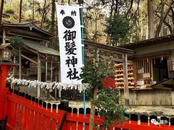 太会玩了吧！日本秃头男人的集体狂欢，去夜店蹦迪都没敢这么野！（视频/组图） - 28