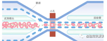 rbc直方图怎么看红细胞／血小板直方图结果解读_https://www.jmylbn.com_新闻资讯_第1张