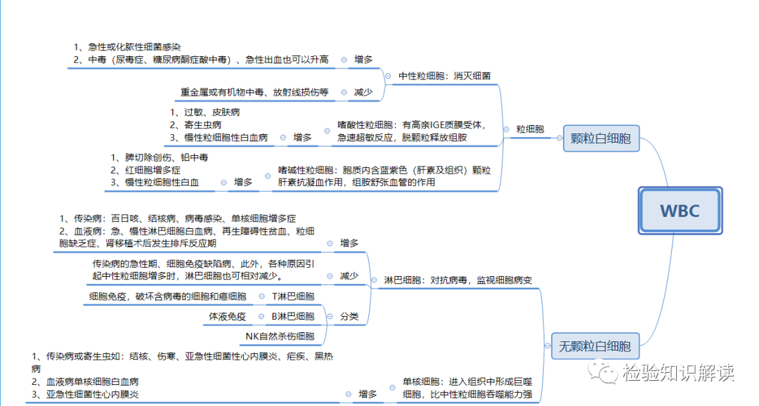 rbc直方图怎么看血常规报告相关指标检测意义及血常规结果查看贫血类型_https://www.jmylbn.com_新闻资讯_第4张