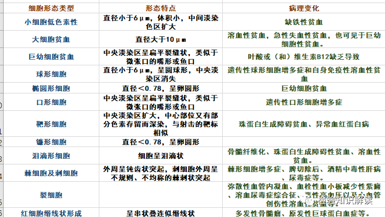 rbc直方图怎么看血常规报告相关指标检测意义及血常规结果查看贫血类型_https://www.jmylbn.com_新闻资讯_第8张