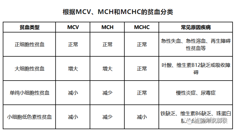 rbc直方图怎么看血常规报告相关指标检测意义及血常规结果查看贫血类型_https://www.jmylbn.com_新闻资讯_第6张