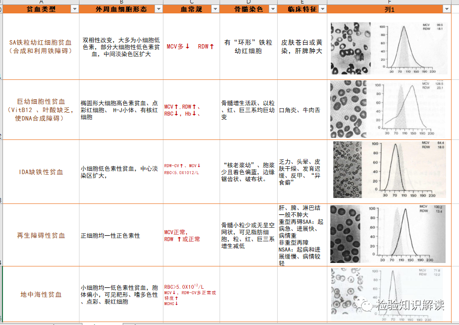 rbc直方图怎么看红细胞／血小板直方图结果解读_https://www.jmylbn.com_新闻资讯_第7张