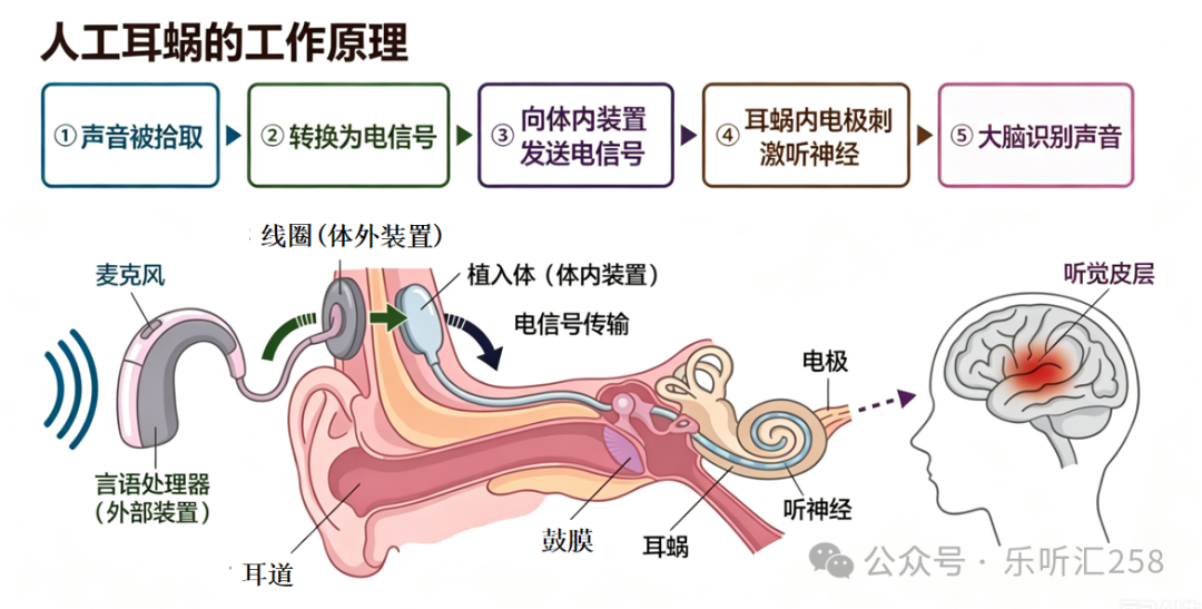 QQ20260924-093521.png