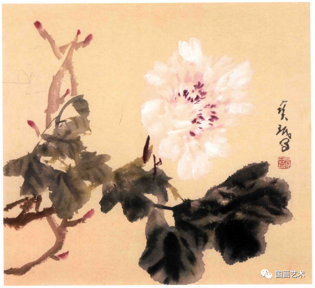 名家讲堂贾宝珉老师讲解白牡丹的画法