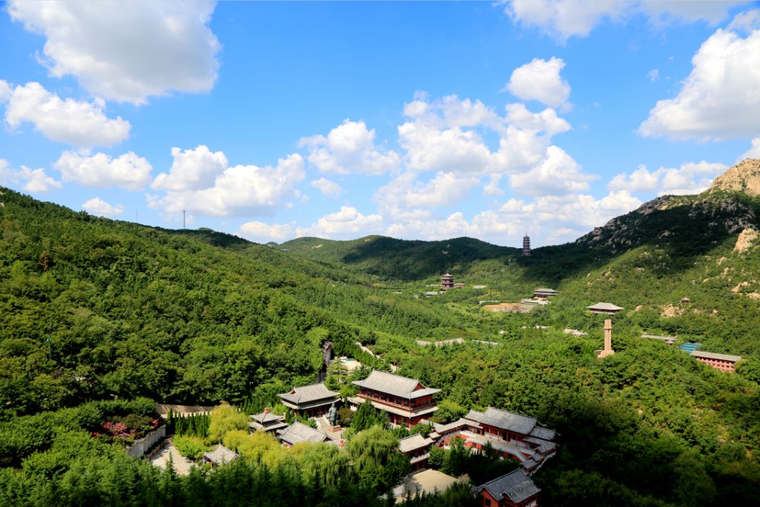 跟着小编去赤山摘棉花糖吧