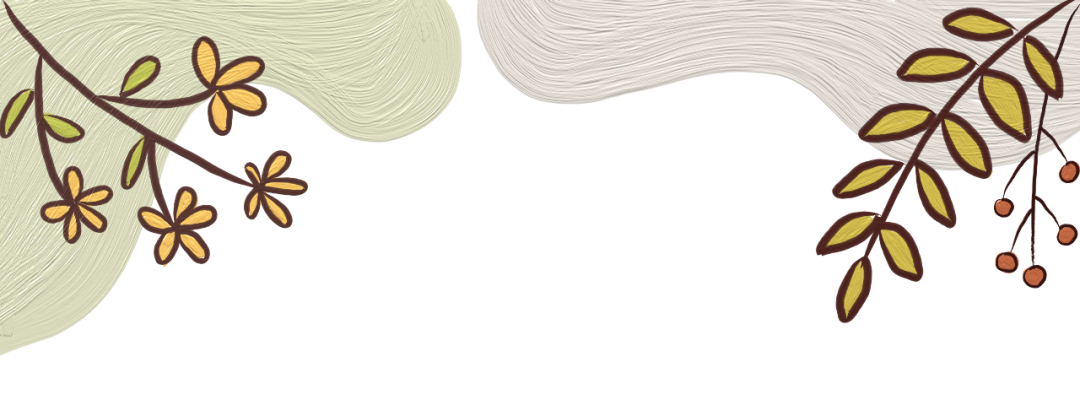 留置针型号怎么区分健康守“护” ｜ 手术室留置针“大”不同_https://www.jmylbn.com_新闻资讯_第1张