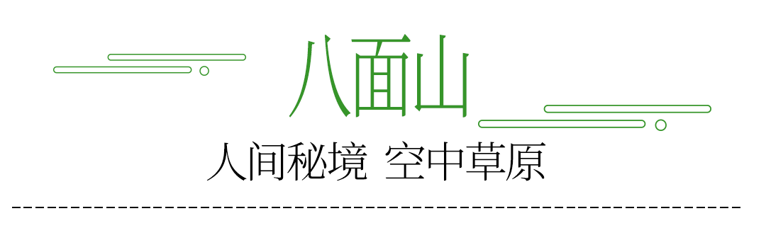 趁人未老——去大自然偏心的地方走个春