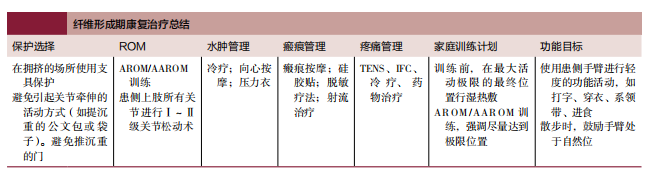 肘关节固定支具怎么用肘关节脱位切开复位内固定术后康复：AAOS骨科术后康复指南_https://www.jmylbn.com_新闻资讯_第9张