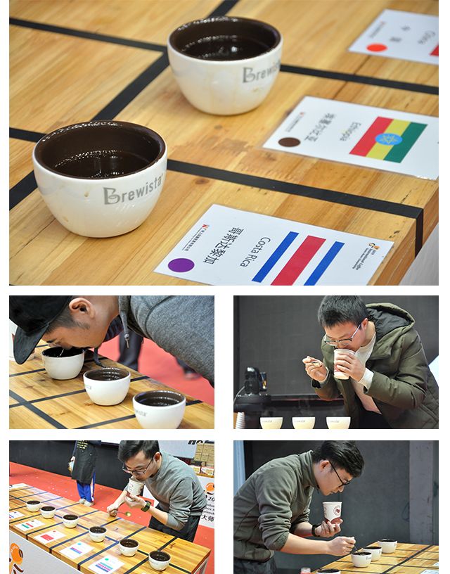 2019国际咖啡杯测大师赛-中国赛区正式拉开序幕！-咖报咖啡网
