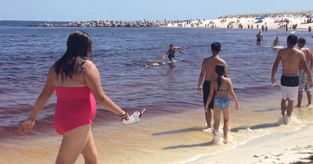 旅行警示 三天超800人被水母哲伤 亚村人暑假里去这个海滩要小心 有人用尿液治疗靠谱吗 亚特兰大华人圈 微信公众号文章阅读