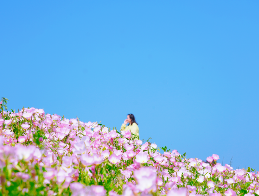 def951ccf385d943b8c485edfd7893ba.png