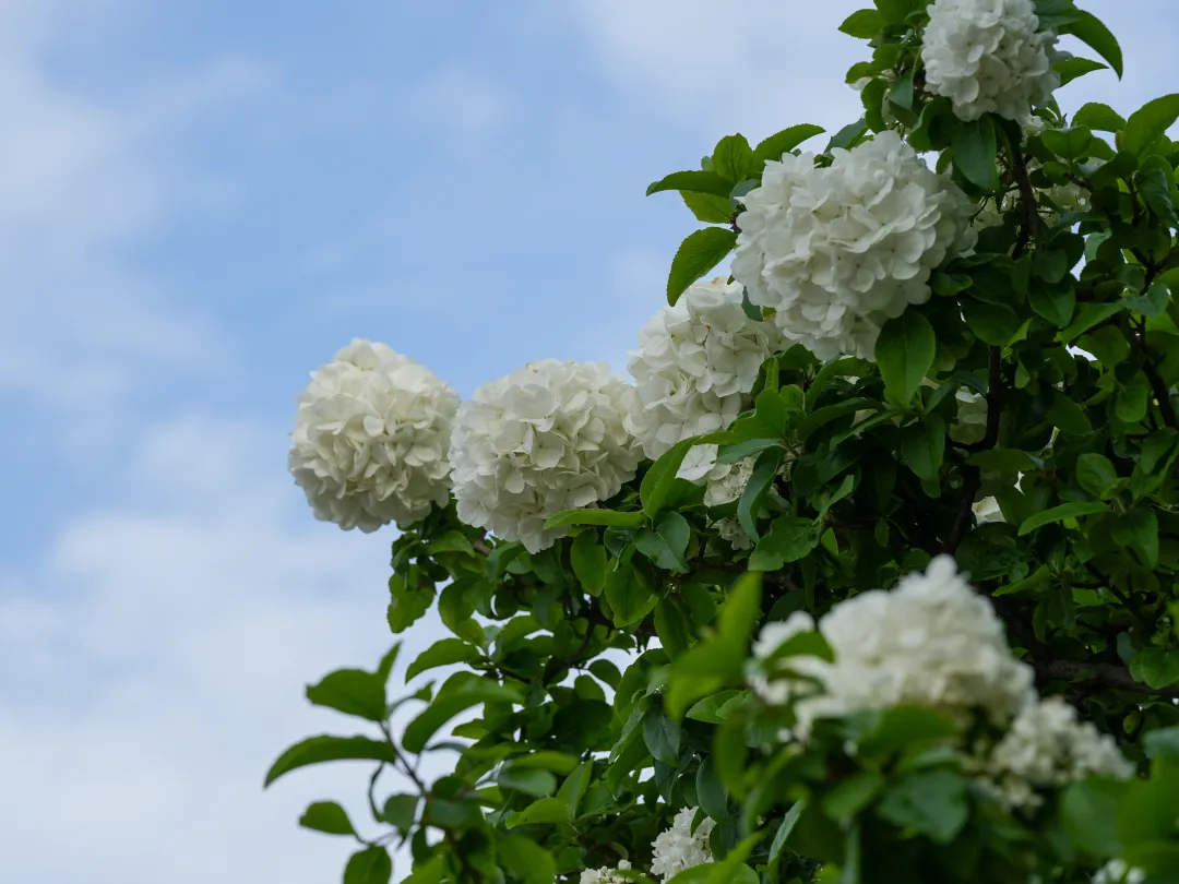 b281c2d9dfdf2f51e2436e5c7e51c342.png