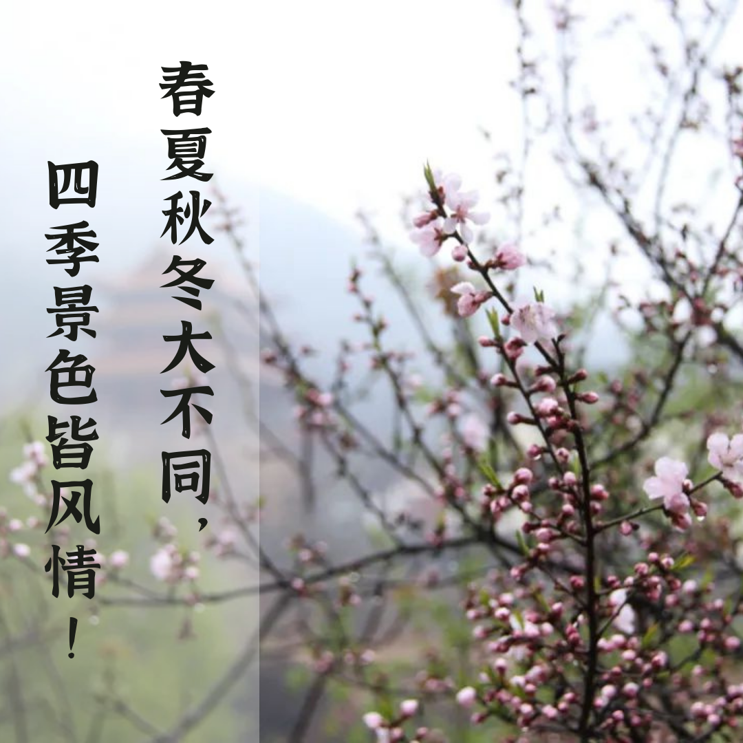 武当山索道视频_武当山下山索道多少钱_武当山坐索道拍的抖音