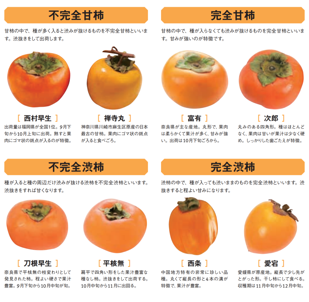 找到一枚完全不涩的神奇柿子 像是啃了一口温柔蜜瓜 企鹅吃喝指南 微信公众号文章阅读 Wemp