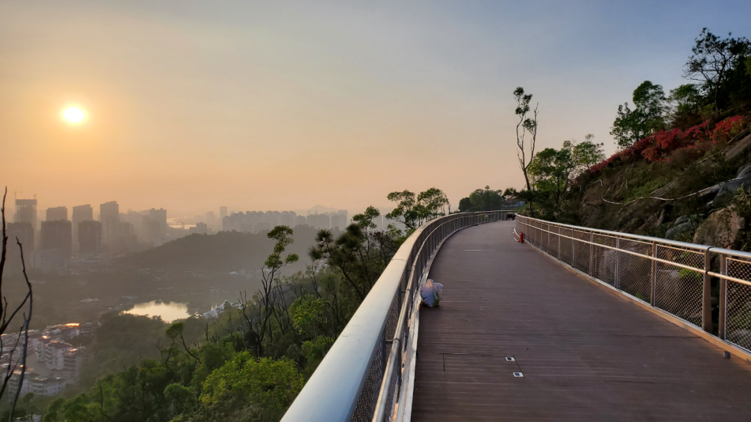 市自然资源局主要领导实地调研板樟山步道建设情况