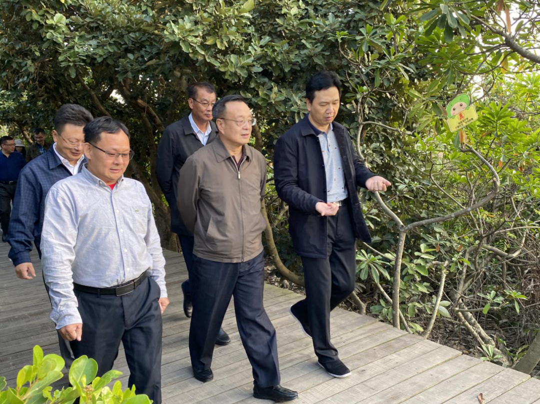 国家林业和草原局自然保护地管理司司长王志高一行赴我市调研海洋类