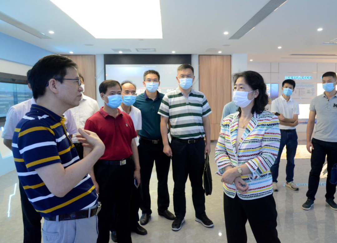 何少青带队实地调研了珠江口中华白海豚国家级自然保护区,珠海淇澳-担