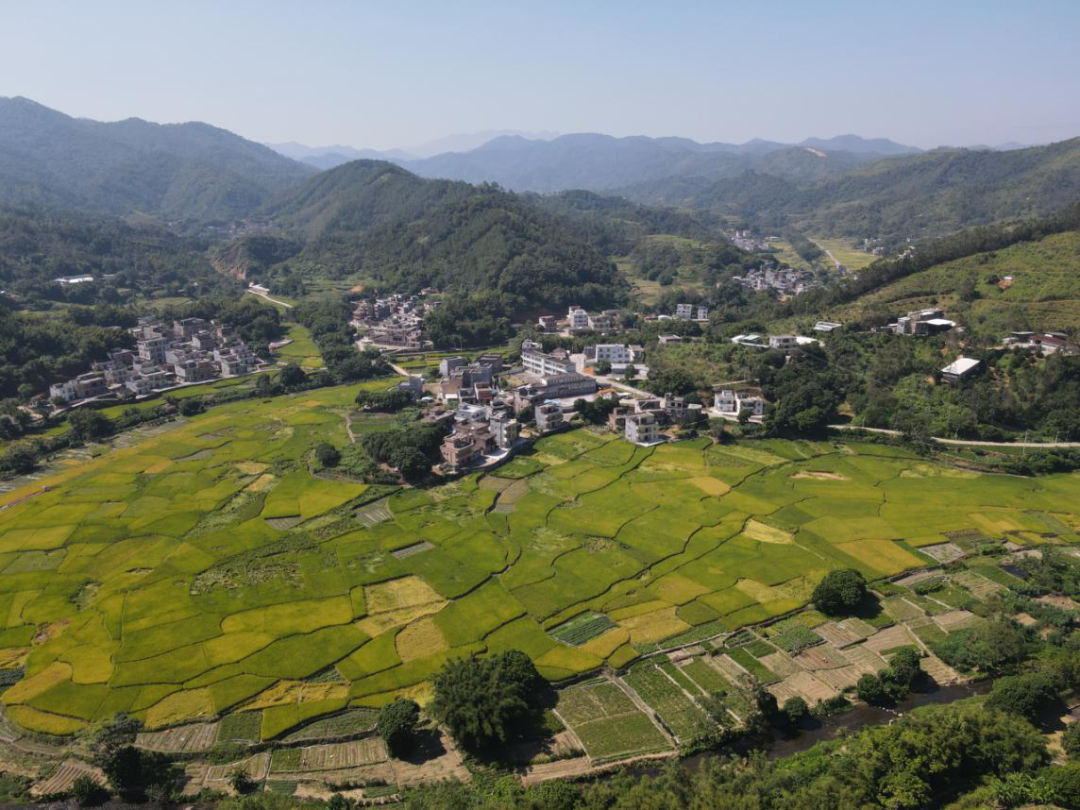 精准扶贫让村民提前过上小康生活市自然资源局对口帮扶阳春市双滘镇