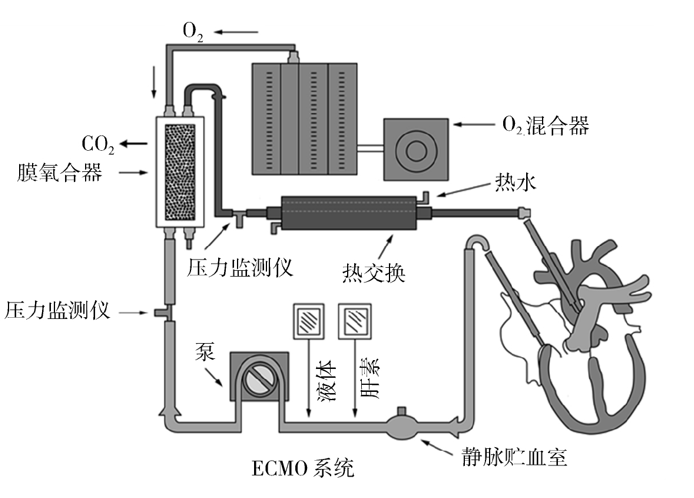 医用高分子 ——EMCO膜材料