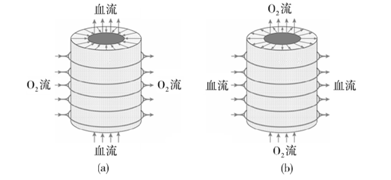 医用高分子 ——EMCO膜材料