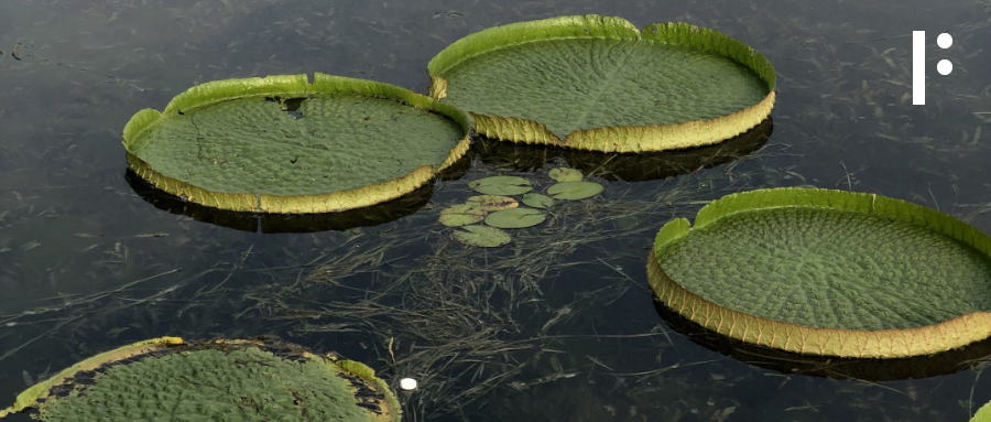 放假第一天，我想......