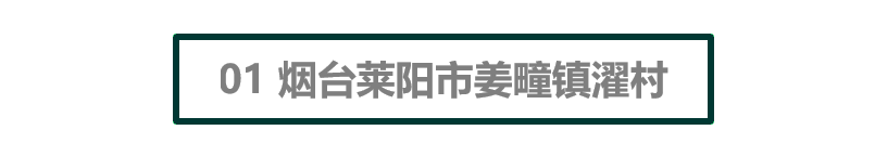 村庄借鉴优质规划经验材料范文_借鉴优质村庄规划经验材料_优秀村庄发展规划案例