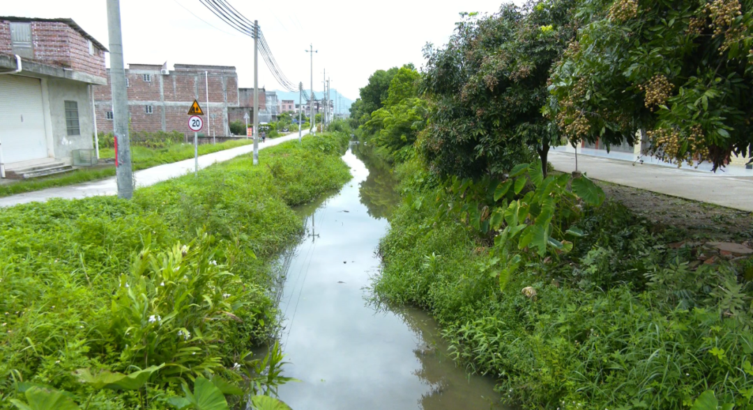 怀集马宁镇清淤疏浚解群众用水之困