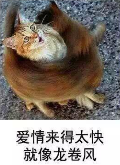 考验2天在澳门不必钱款！究竟有假使？(图23)