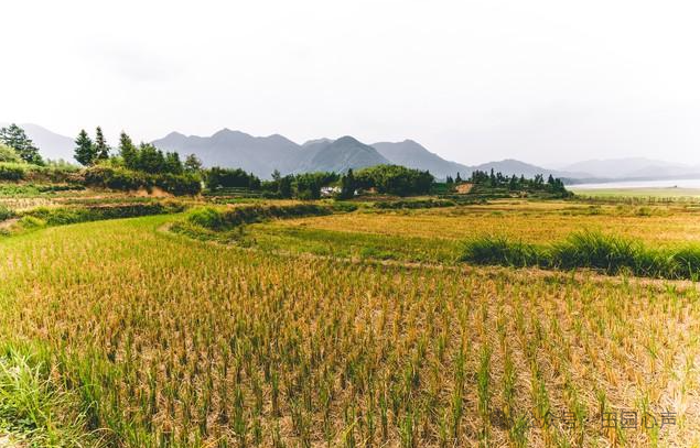 山东天气