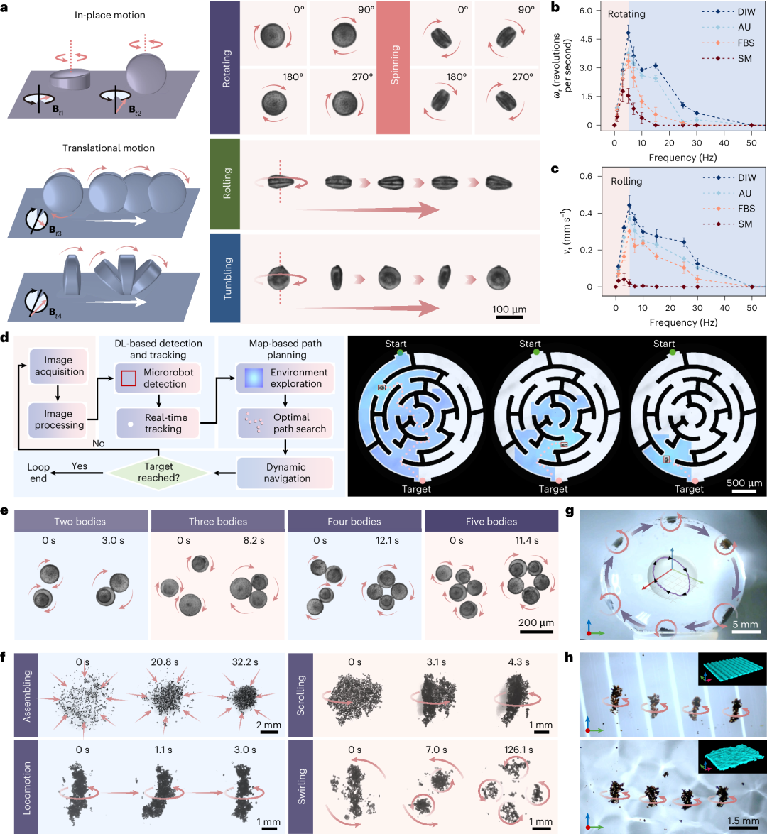Figure 2. DMCG的四种运动模式、图像反馈导航、多体组装与可重构集群控制。