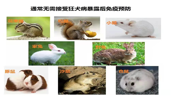 动物门诊用什么x光机【专科诊疗】市妇儿医院动物咬伤门诊开诊啦_https://www.jmylbn.com_新闻资讯_第4张