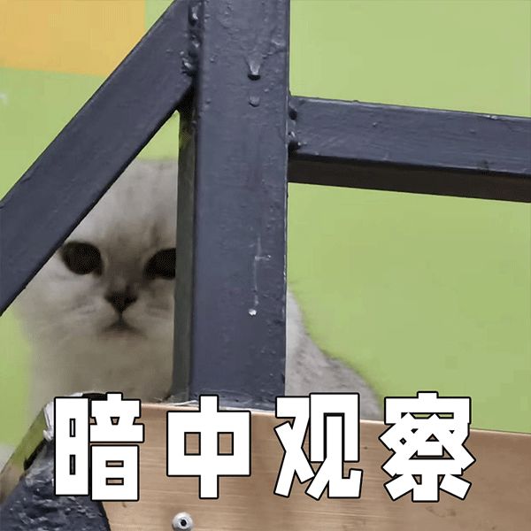 小汽车摇号最新结果查询官网系统_汽车摇号网址_汽车摇号官网登录