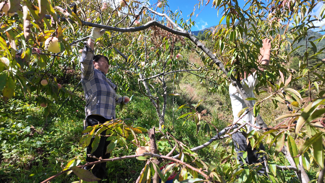 10月17日 (2)(9).png