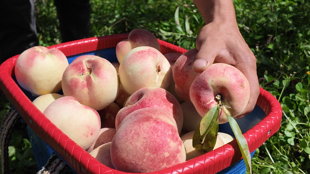 10月17日 (2)(5).png