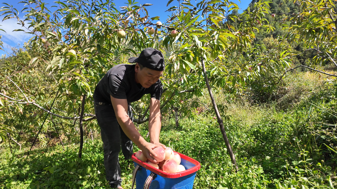 10月17日 (2)(7).png