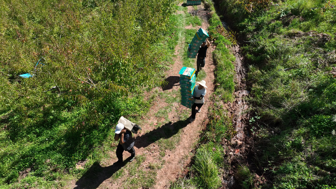 10月17日 (2)(4).png