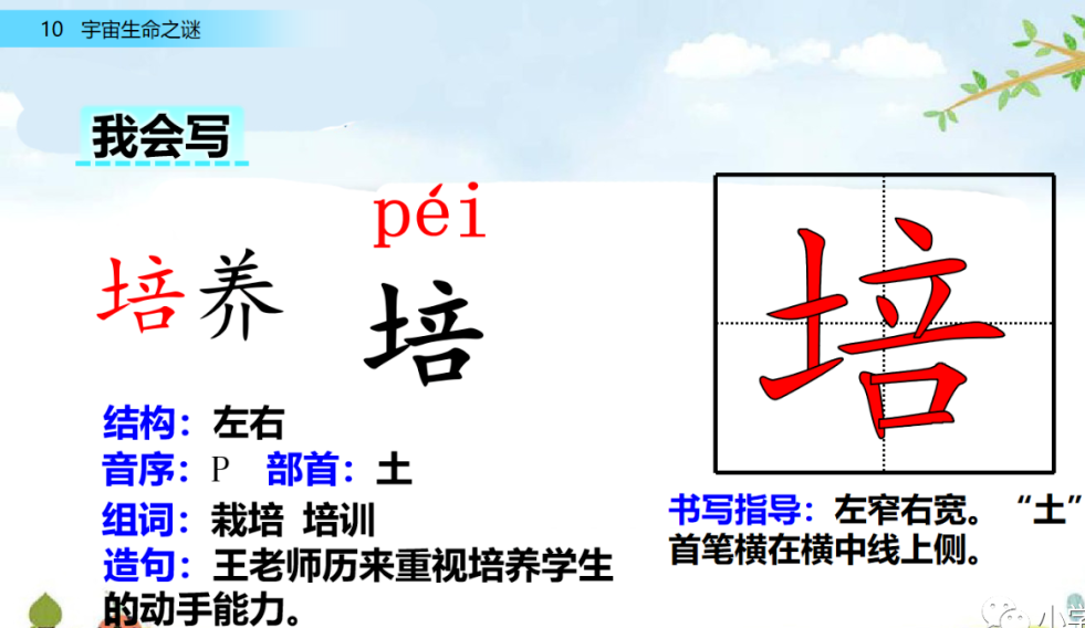 【小学语文】部编语文六年级上册第10课《宇宙生命之谜》课文朗读+图文解读+视频+课后练习