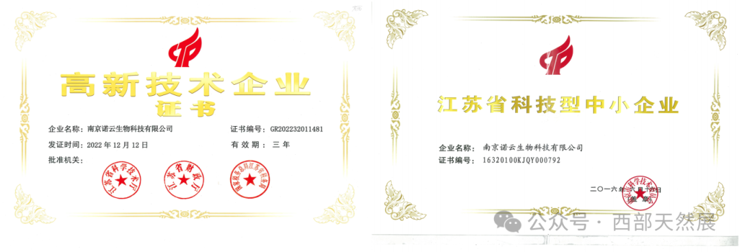图像-1748239184542.jpg