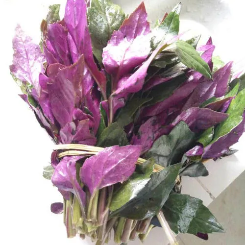 蔬菜|3种蔬菜味美，却致癌伤肝！这4种又臭又难吃，个个是“防癌明星”！千万别吃错