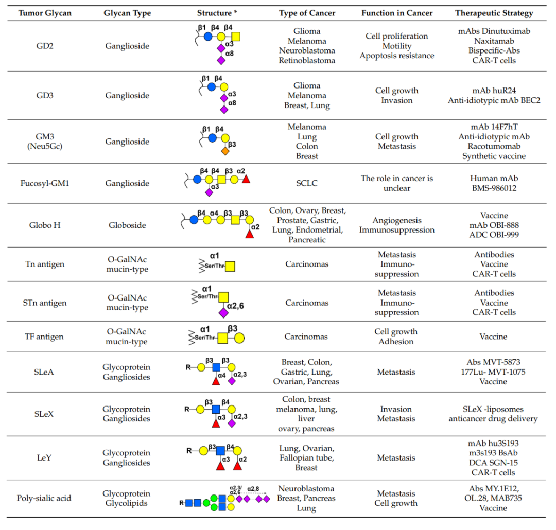 ABS什么药靶向肿瘤聚糖的药物开发_https://www.jmylbn.com_新闻资讯_第2张