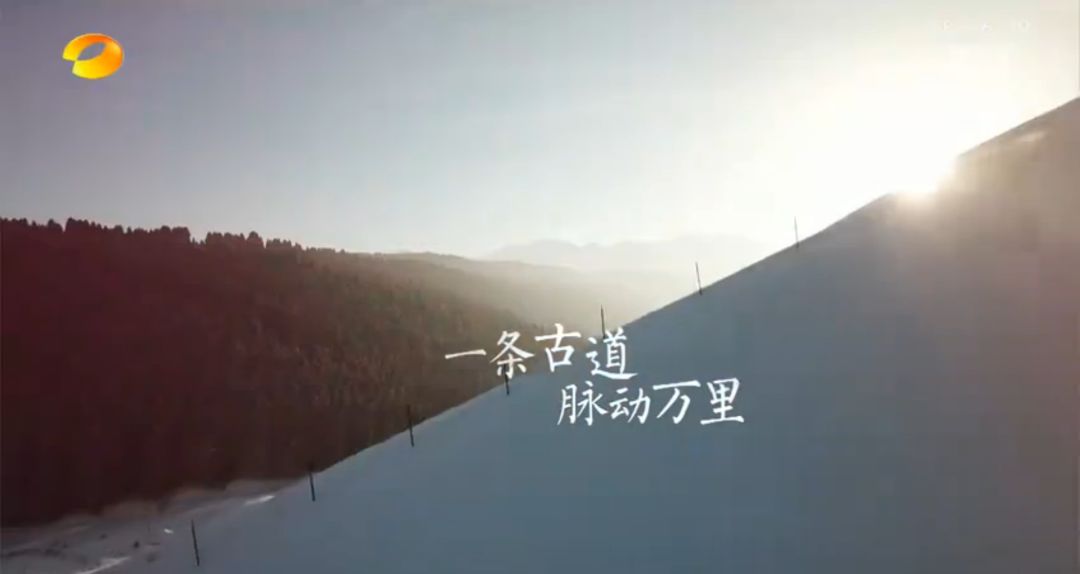 【视频】湖南卫视：安化黑茶是神秘之茶、民族团结之茶