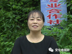 种植药材创业项目_回农村创业种植蘑菇_创业种植黑木耳种植的文章