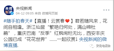 【央视】今天！安化​“茶乡花海”走进了央视新闻的微博直播