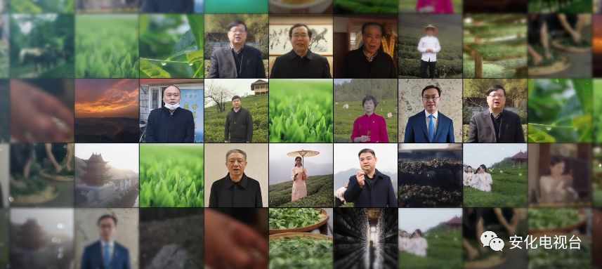 一线报道|嘿（黑）茶开园啦！安化首创黑茶“网上开园节”正式启