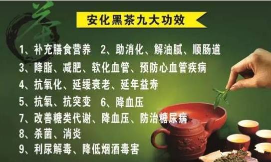 黑茶公司又上电视了，看看到底是什么样的！