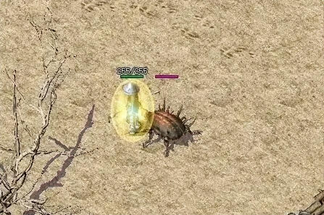 热血传奇：法师当年必召宝宝，虎卫攻击最差，却人手一只