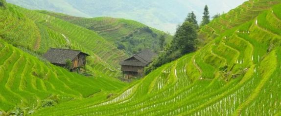 中國秋日美景大賞！你需要知道的6個目的地 旅遊 第34張